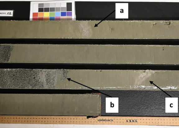 fig 4 core